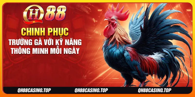 Chinh phục trường gà với kỹ năng thông minh mỗi ngày